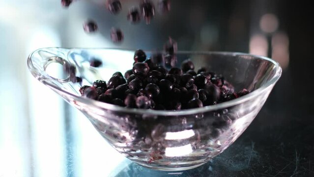 fresh blueberries V. corymbosum in a white bowl on white. High quality photo