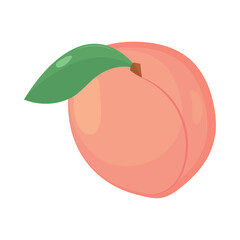 peach fruit icon