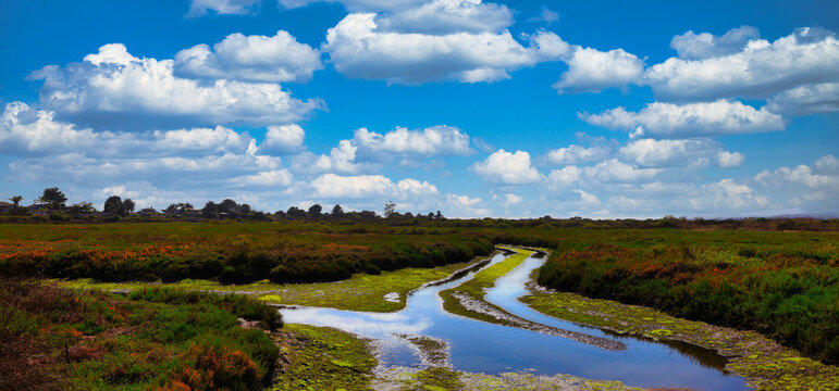 Hiking in the Carpinteria Salt Marsh and Bird Refge in the summer