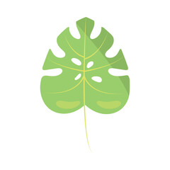 leaf monstera icon