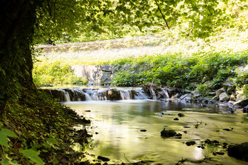 Peaceful steam in the forest - long exposure
