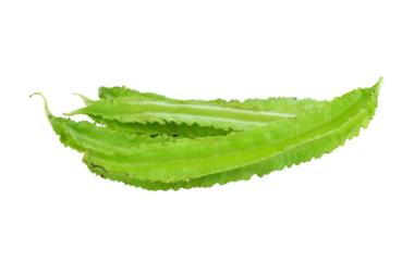 winged bean transparent png