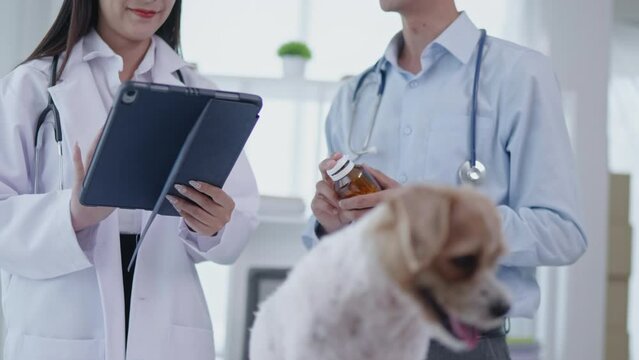 Veterinarians are examining a sick dog in animal hospital
