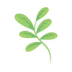 leaves branch nature icon
