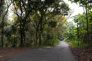 Kuningan West Java, the scenery is so beautiful and cool with lush trees that are still green 