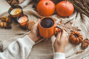 Hands with a cup of tea, good morning concept. Autumn mood