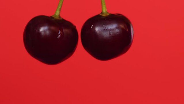 close-up two ripe cherries collide, water drops fly to the side, studio shooting, red background. slow motion. selective focus.cherries macro