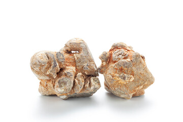 Panax notoginseng isolated on white background, Chinese herbal medicine.