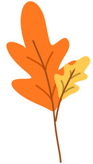 Obraz premium Autumn Leaf Element