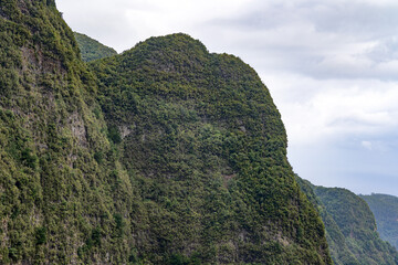 mountains immersed in greenery