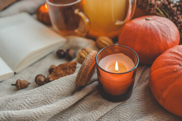 Autumn composition in the home interior, aesthetics