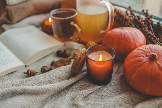 Autumn composition in the home interior, aesthetics