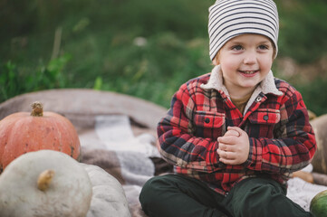 Little boy plays with organic pumpkins in the garden. Harvest in autumn. Halloween traditions and fun.