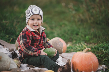 Little boy plays with organic pumpkins in the garden. Harvest in autumn. Halloween traditions and fun.