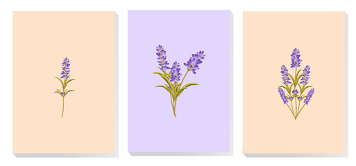 posters wall art lavender. Suitable for minimalist and modern home decor.