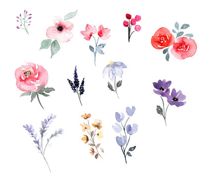 handgemalte Watercolor Blumen-Elemente in Rosa, Pink und Lila