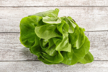 Fototapeta premium Salad leaves heap for snack