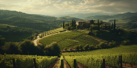 Fotobehang Generative AI, beautiful Italian vineyard, green landscape. Rows of vines on sunset  © DELstudio
