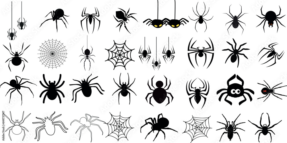 Wall mural vector illustration of a bunch of spiders crawling on a white. the spiders are of different species 