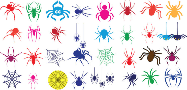 Spider vector illustration, colorful collection of arachnids. Different types, styles, and colors of spiders, webs. realistic, and abstract designs.for Halloween, nature, or science projects