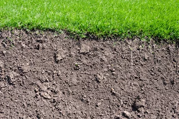 Selbstklebende Fototapete Gras Loose soil and green grass