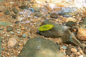 Stones under clear water, after some edits.