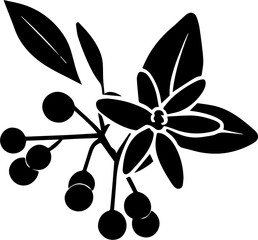 Caprifoliaceae icon