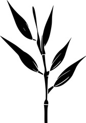 Canellaceae icon 2