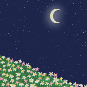 the moon shines at night There were many flowers on the hills. along with the stars in the sky