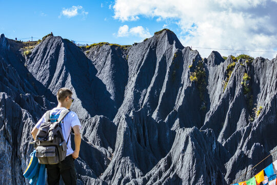 รูปภาพGanzi – เลือกดูภาพถ่ายสต็อก เวกเตอร์ และวิดีโอ1,383 | Adobe Stock