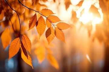 Naklejka na ściany i meble Autumn background with fall leaves and bokeh