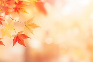 Autumn background with maple leaves and bokeh