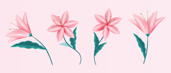 Delicate lily flower element set