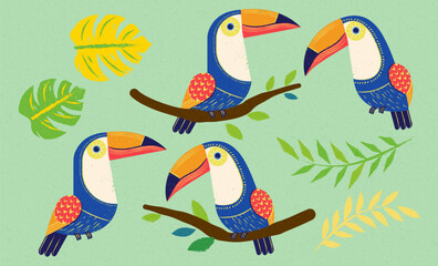Cute toucan and leaves element set © MITstudio