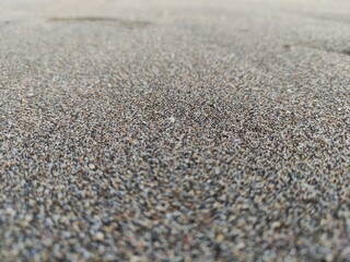Fototapeta na wymiar Wahite sand in the beach