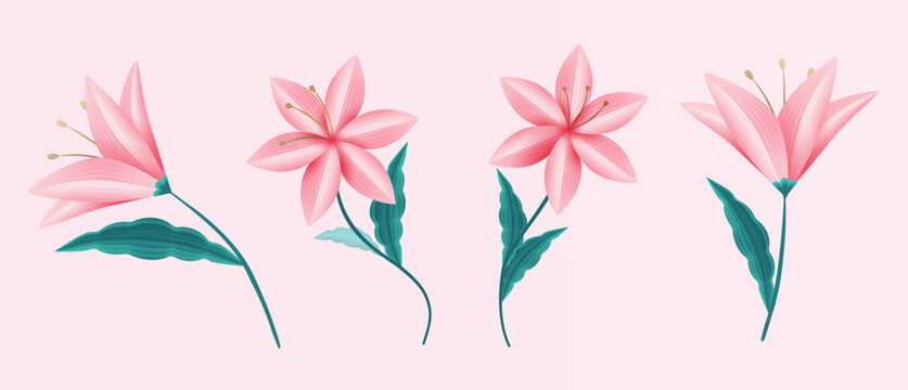 Delicate lily flower element set