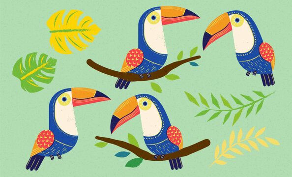 Cute toucan and leaves element set