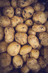  Fresh Organic Whole Potato. Farmers Market