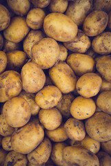  Fresh Organic Whole Potato. Farmers Market