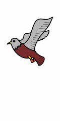 bird illustration