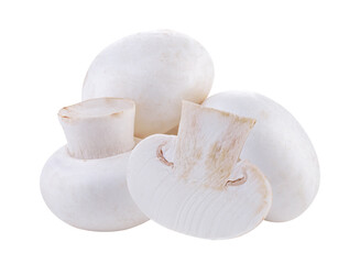 Champignon mushroom isolated on transparent png