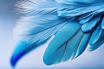 blue and white featherblue and white featherclose up of a bird