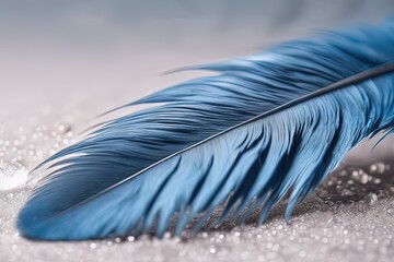 feather of bird on a blue background, feather, feather feather of bird on a blue background, feather, feather beautiful bird feather on white background