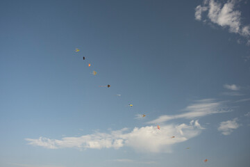 kites against the blue sky