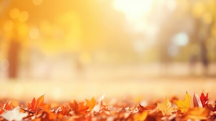 Naklejka na ściany i meble Beautiful autumn landscape with. orange foliage in the park. Falling leaves natural background.