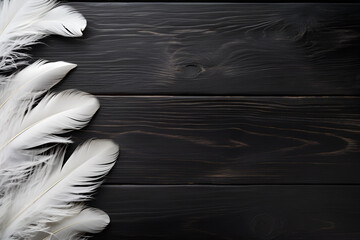 white feathers on black wood, copy space, background, plank, timber