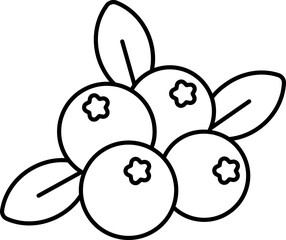 Cranberry Icon In Black Outline.