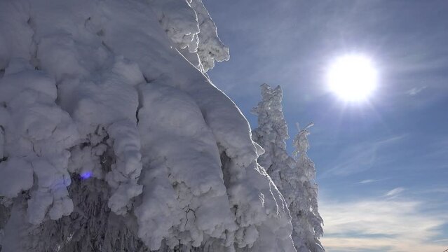 Snow, Winter Scene, Mountains View, Ski Resort, Conifer Forest, Fir, Alpine Landscape, Skiing Sport