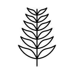 Pine leaf icon in line art.