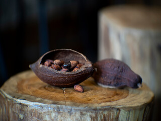 Cocoa fruits and raw cocoa beans on the table